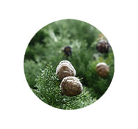 Ingredient 3